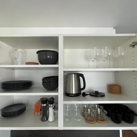 Luxusapartment Mit 40 Qm Terrasse, E-parkplatz Und Parkplatz Graz